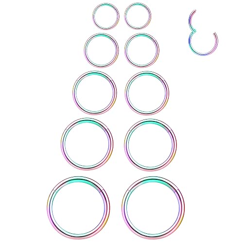 LEE&RO 16G Hinged Clicker Septum Rings, 6MM to 10MM