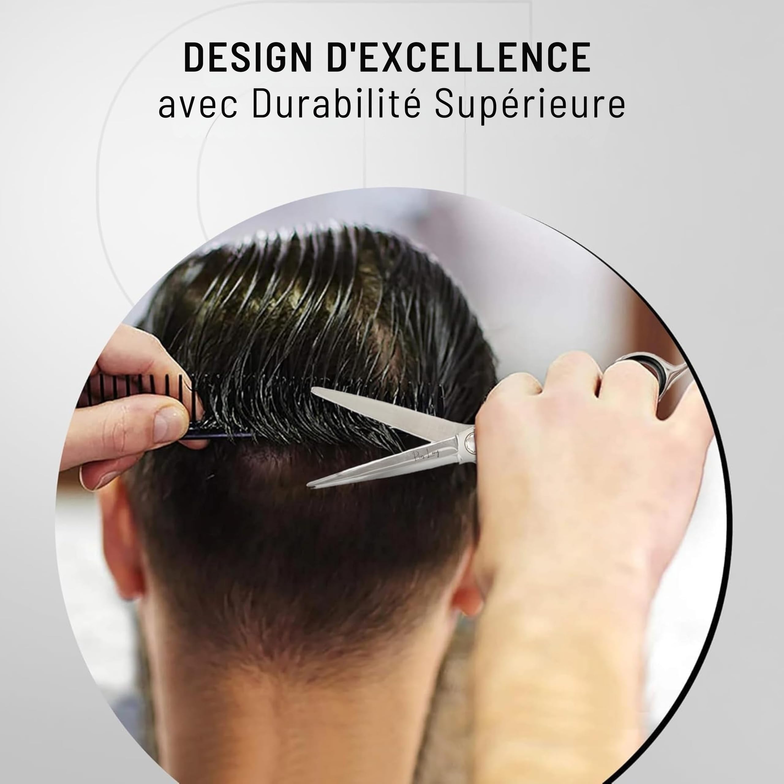 Ciseaux de Coiffure Professionnels 6,5" Lames Convexes Système de Tension à Roulement à Billes Étui