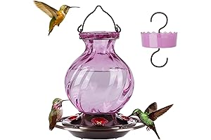 Enticing Hummingbirds with CelticMax Hummingbird Feeder
