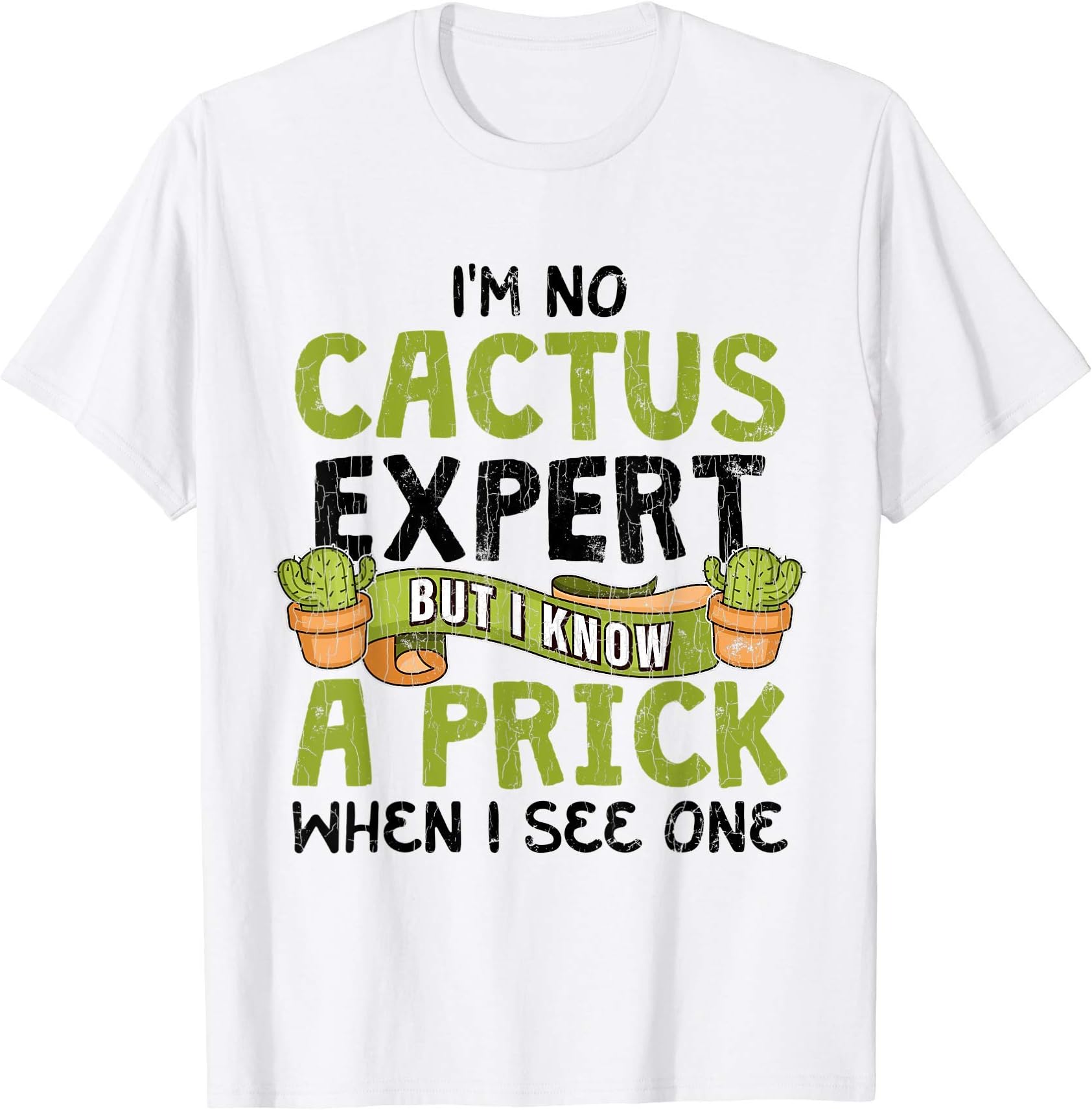 Funny Cactus Gifts & MoreIm No Cactus Expert But I Know A Prick When I See One Gift T-Shirt
