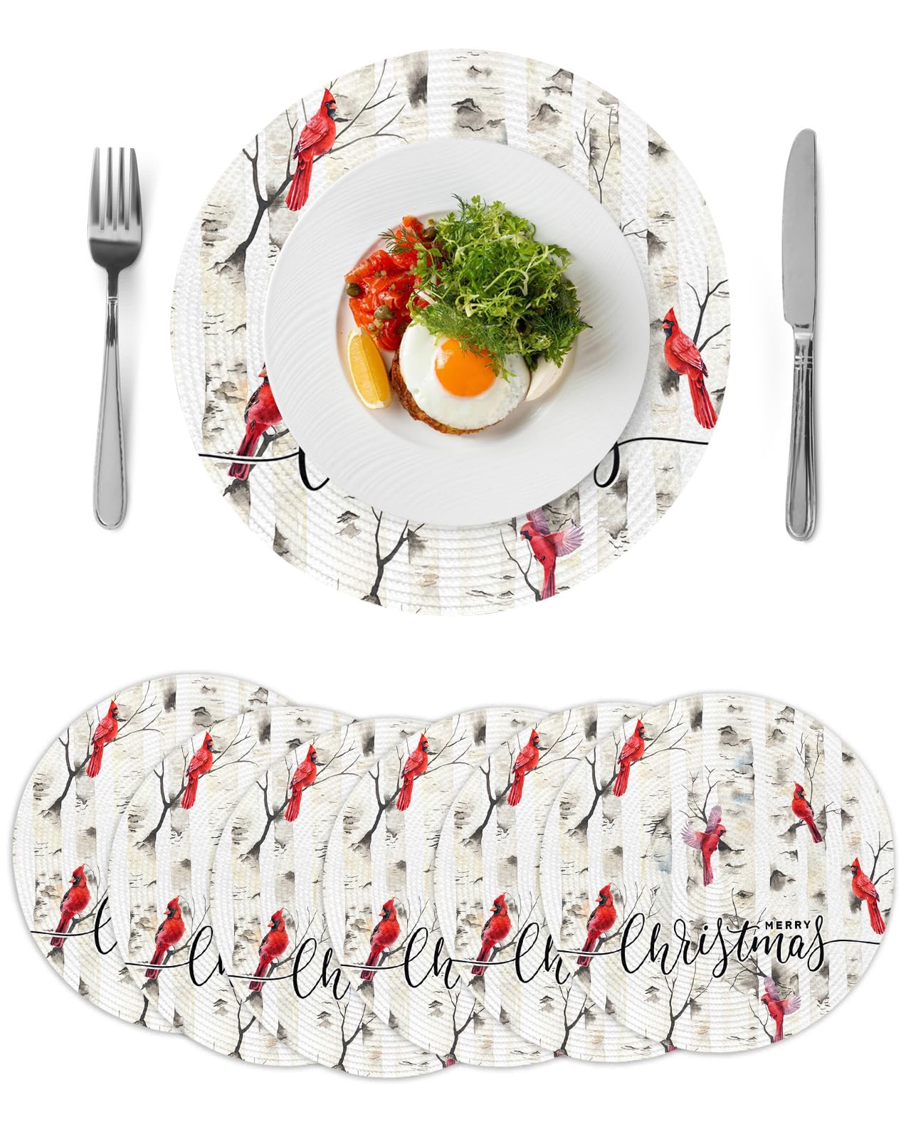 6PCS Round Braided Placemats,Christmas Birch Tree Branch Cardinal Bird Washable Woven Placemats Coffee Mats 15 inch Heat Resistant Kitchen Table Mats for Dining Table