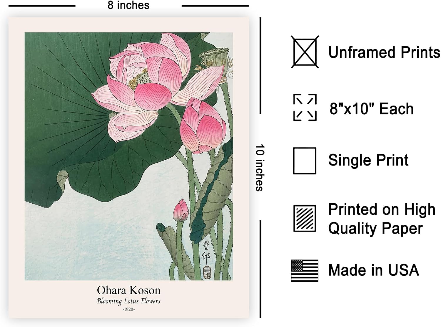 Poster Master Vintage Ohara Koson Poster - Retro Blooming Lotus Flowers Print - Japanese Art - Flower Illustration - Aesthetic Design - Floral Bedroom or Office Decor - 8x10 UNFRAMED Wall Decor