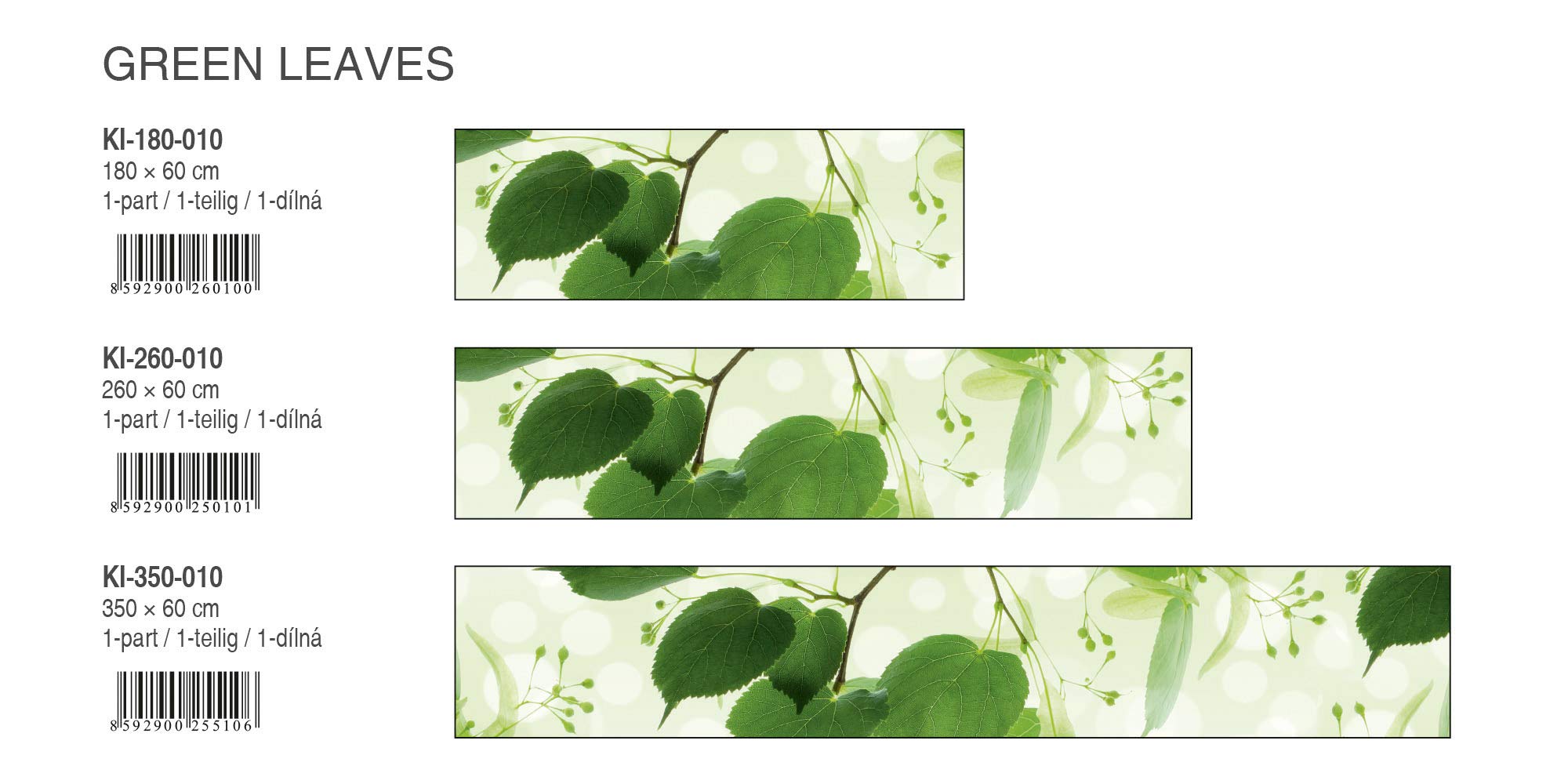 DIMEX LINE Paraschizzi Auto-Adesiva per la Cucina Foglie Verdi 260 x 60 cm | Resistente all’Acqua | QUALITA‘ Premium