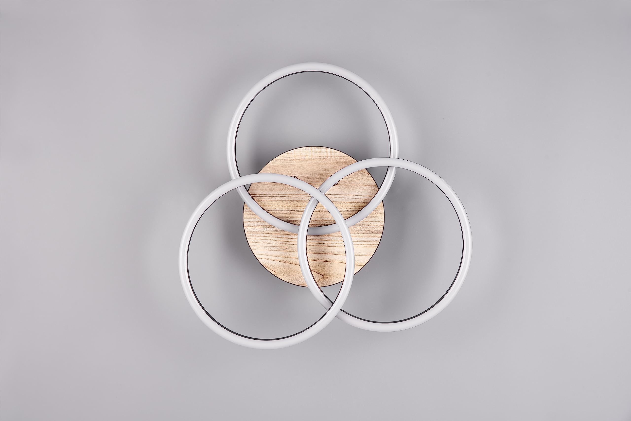 Reality, Lámpara de techo, Circle incl. 1xLED
