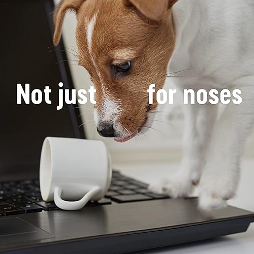 Miniatura 6 de Kleenex Pañuelos originales, Mega Pack  1,344 hojas (12 cajas x 112 hojas)  Siempre suave y fuerte para el uso diario  Ahora 75% más pañuelos en una