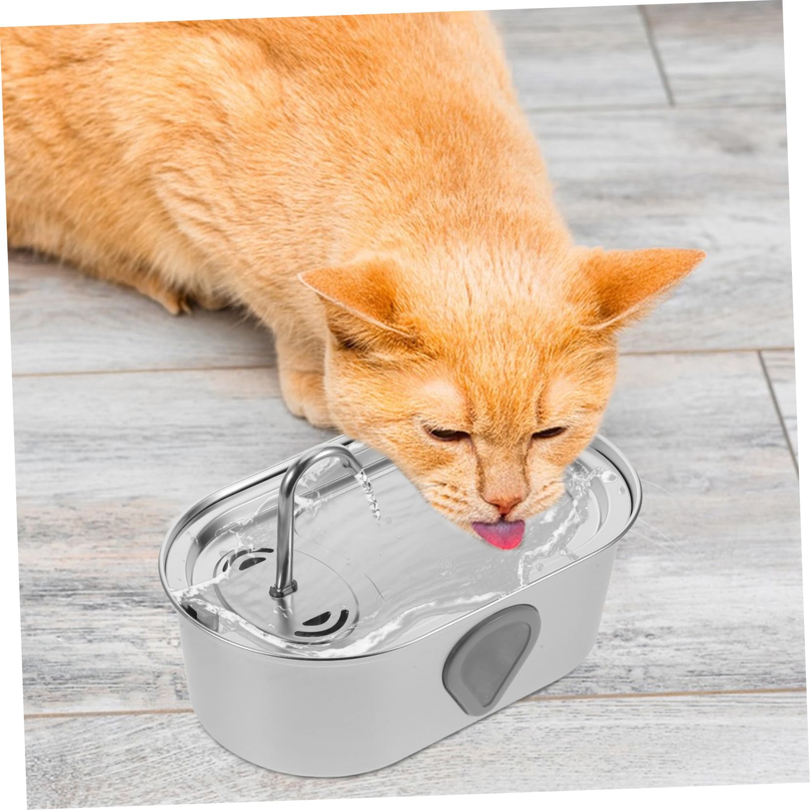 SHINEOFI Fuente De Agua Automática para Mascotas Bebedero De Acero Inoxidable De Interiores para Perros y Gatos Pequeños Dispensador De Agua Recarga Automática por USB