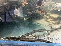 Review Image by Hayley Hayley