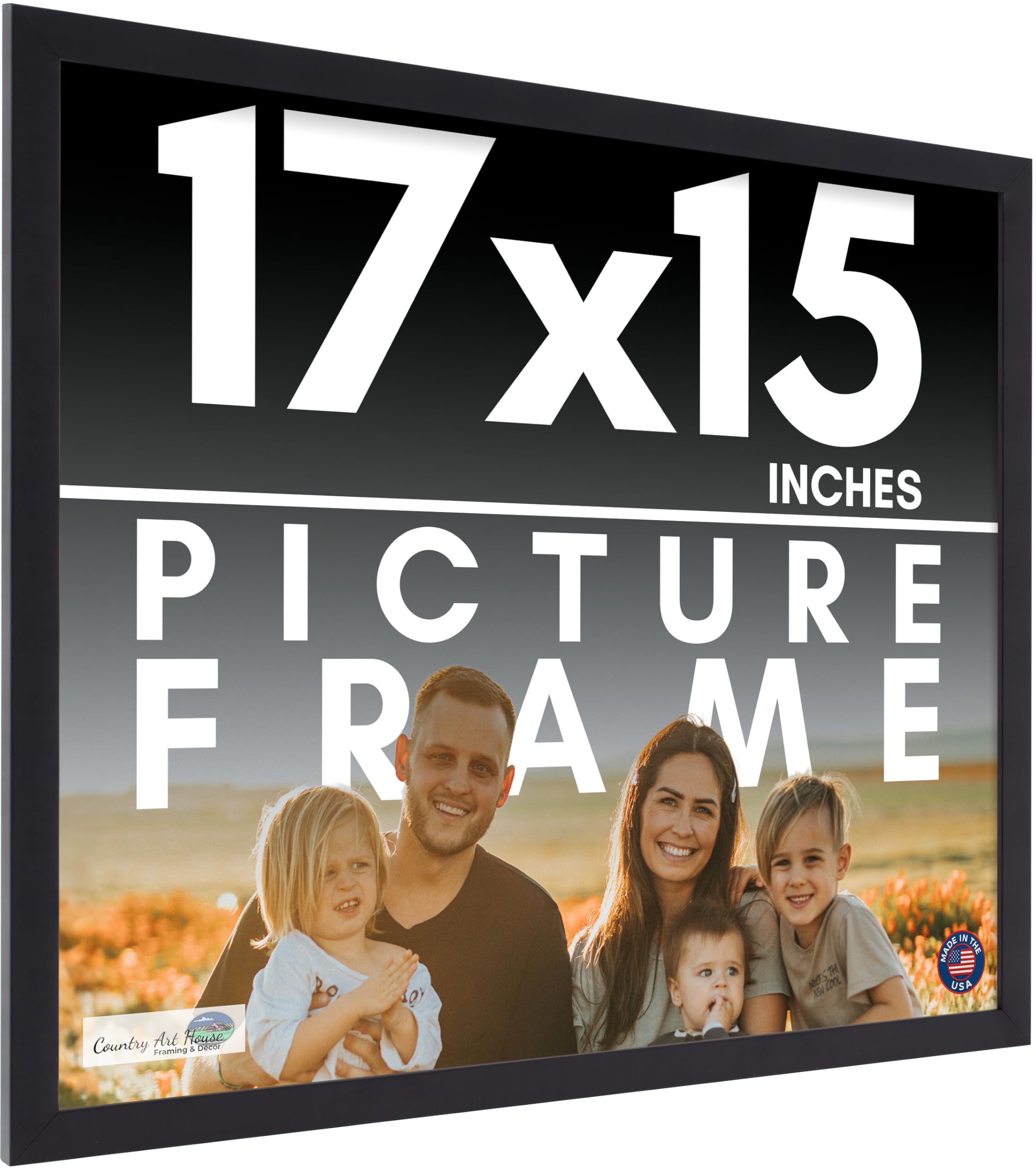 Amazon.com - 17x15 Frame Black Picture Frame - Complete Modern
