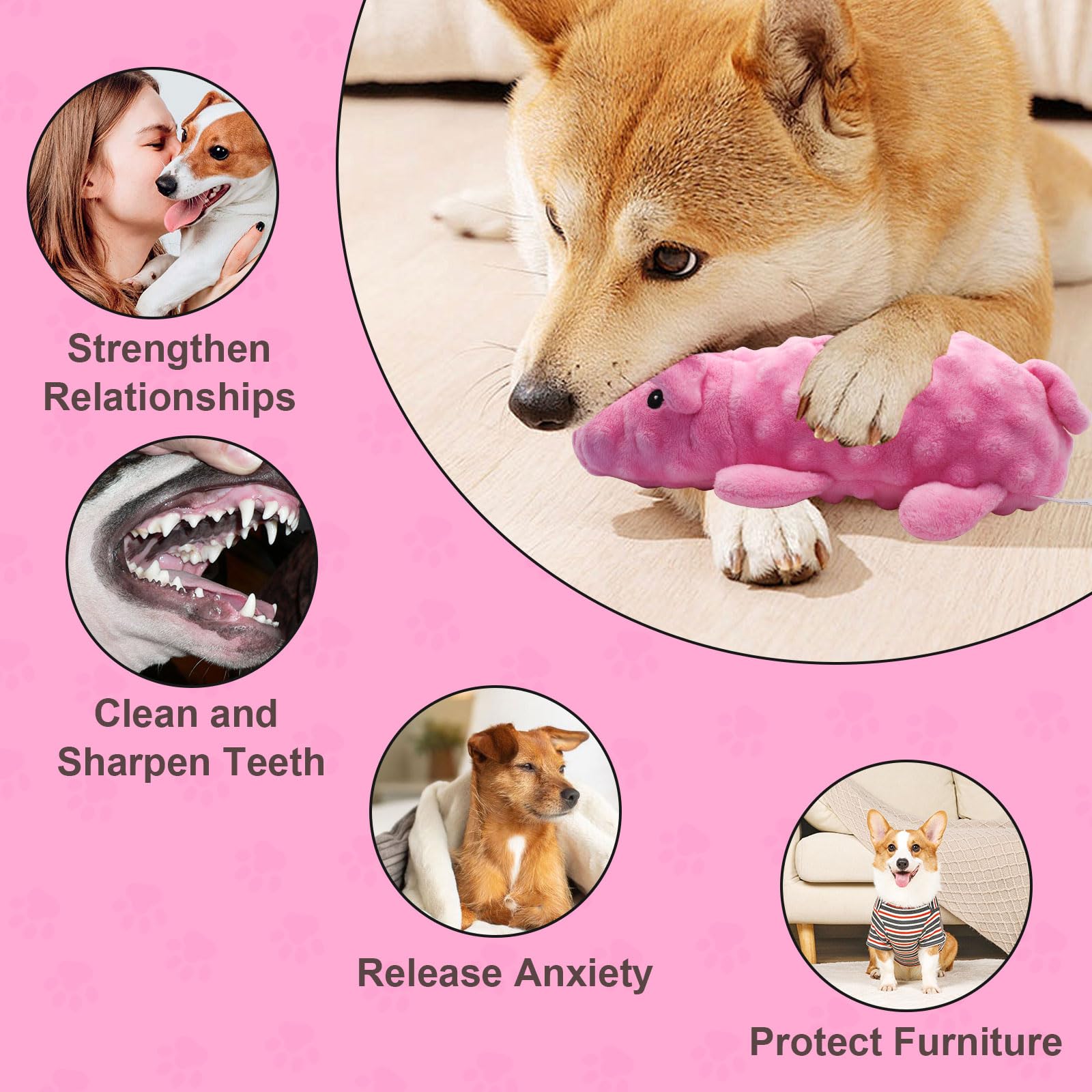 Andiker Dog Squeaky Toys - Image 4