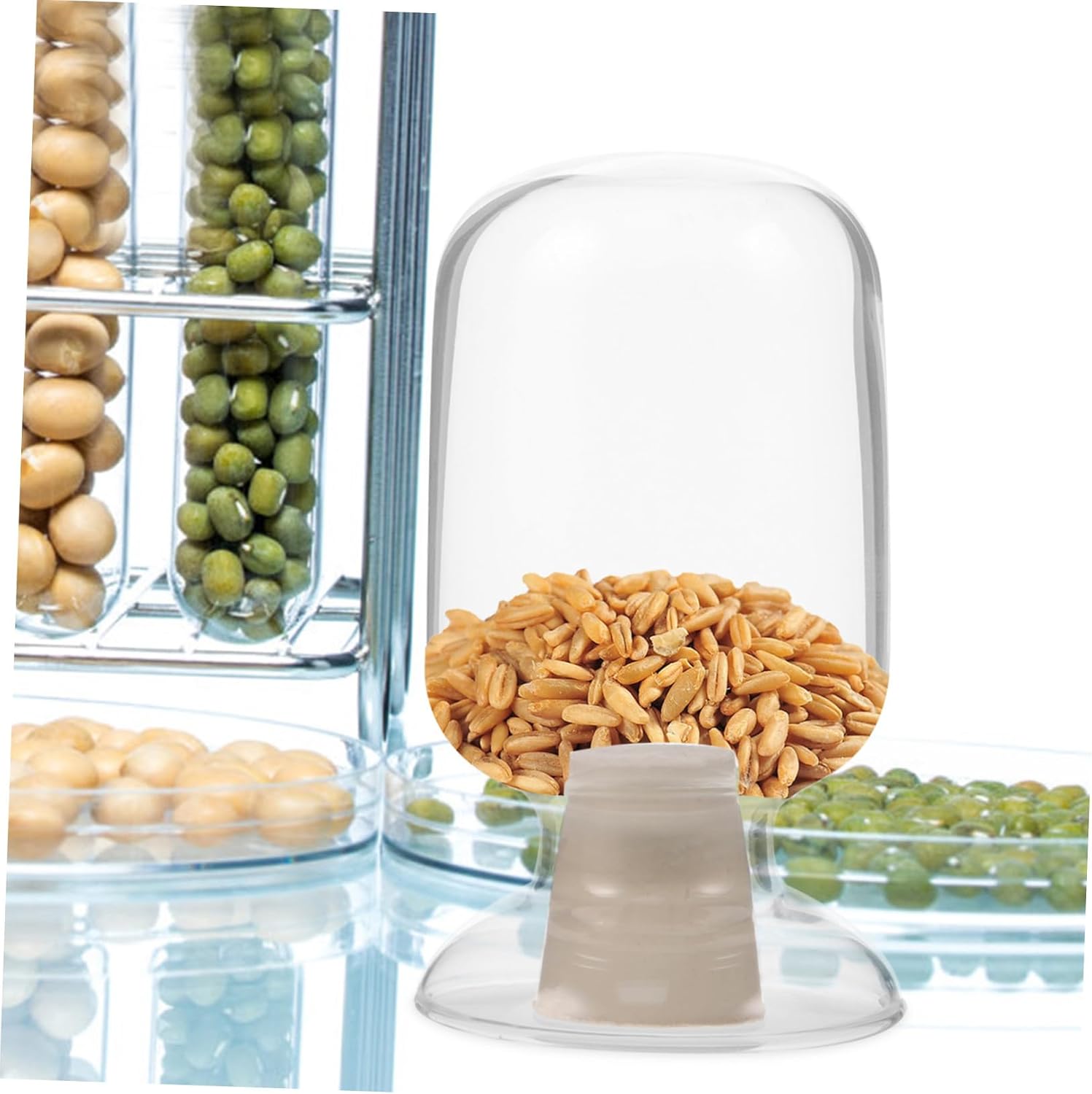 CHILDWEET Glass Storage Bottle with Stopper Thickened Sample Jar for Laboratory and Home Use Lightweight and Portable Secure Design