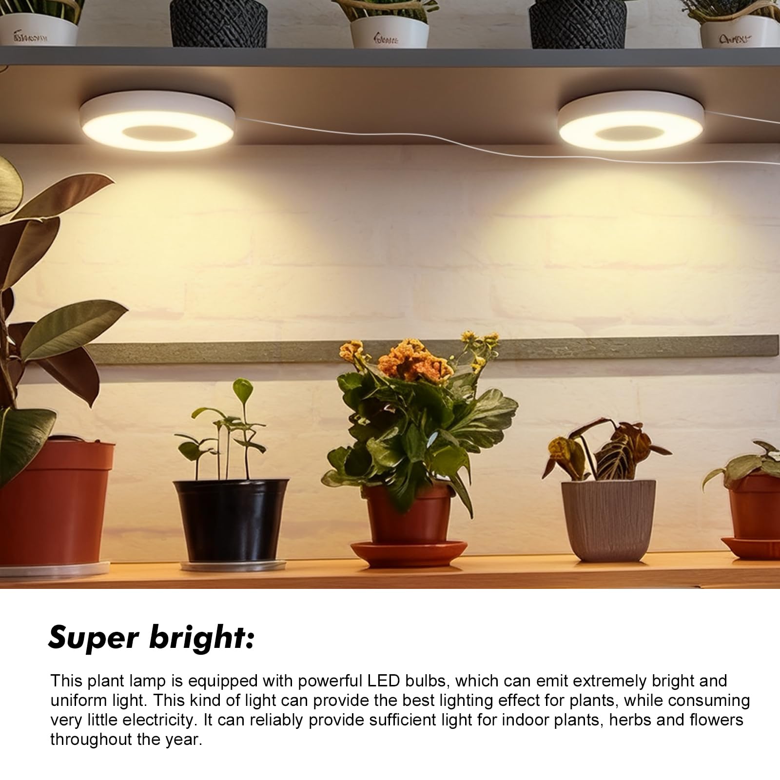 Lampe LED pour plantes à spectre complet avec minuterie automatique 3/9/12H et adaptateur USB, 3 couleurs, 10 niveaux de luminosité (blanc, 4 têtes)