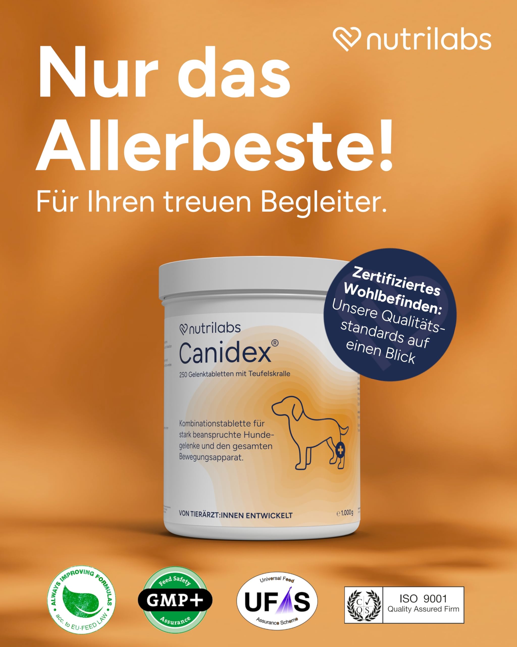 NutriLabs Canidex Gelenktabletten für Hunde 250 Stk. - mit MSM, Hyaluronsäure, Glucosamin, uvm. - Gesundheitsprodukte für Hunde - Nahrungsergänzungsmittel Hund - Teufelskralle-Hund