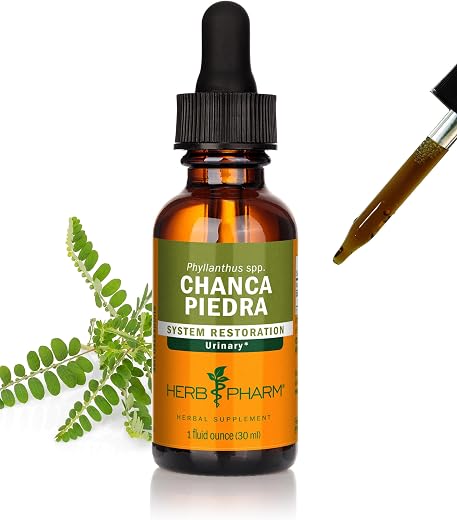 Herb Pharm Chanca Piedra Extract liquid for Urinary System Support - 1 Ounce