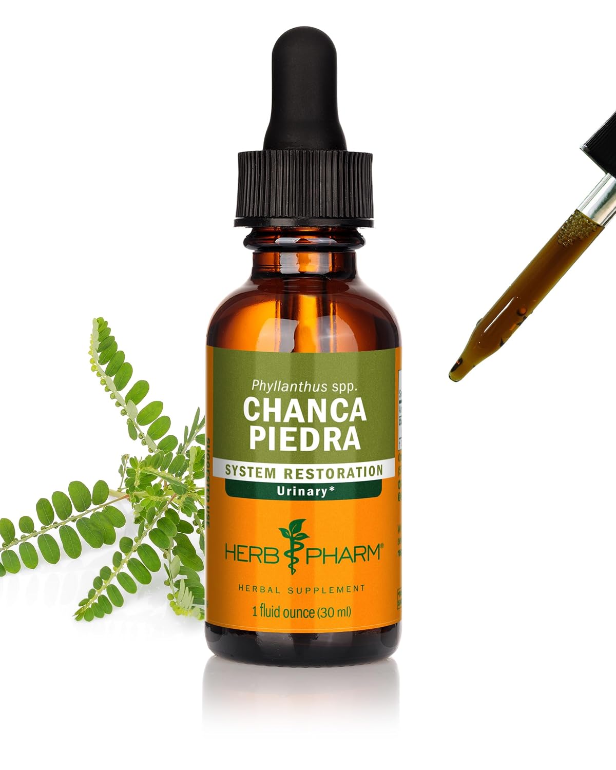 Herb Pharm Chanca Piedra Extract liquid for Urinary System Support - 1 Ounce - Review, Price and Buying Guide