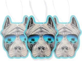 Air Freshener Scented With Essential Oils By Fresh Fresheners (Pit Sunnies)