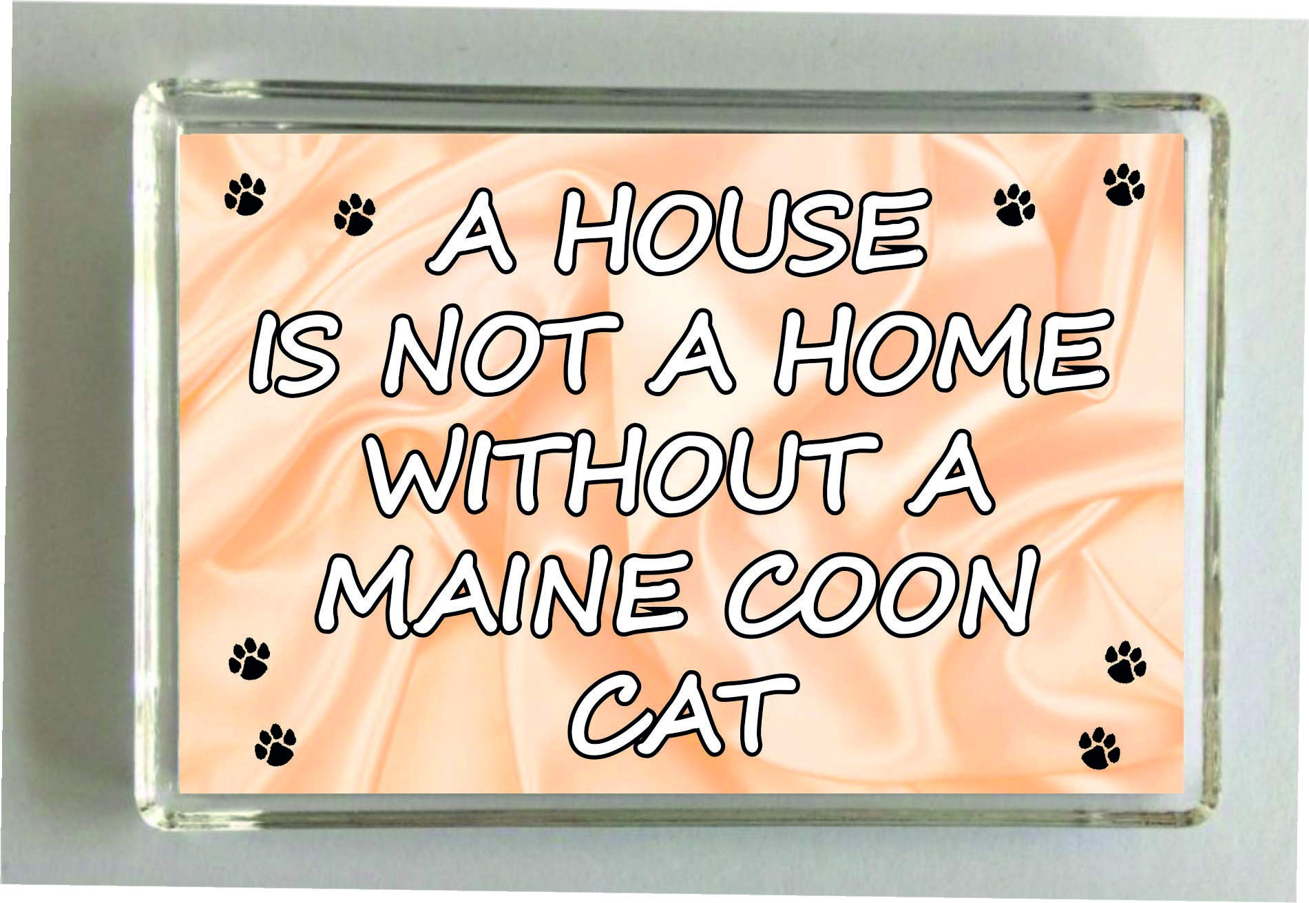 Decalarama Transparent Maine Coon Cat Fridge Magnet - Novelty Gift – A House Is Not A Home Without - Pet Lover Present Magnet