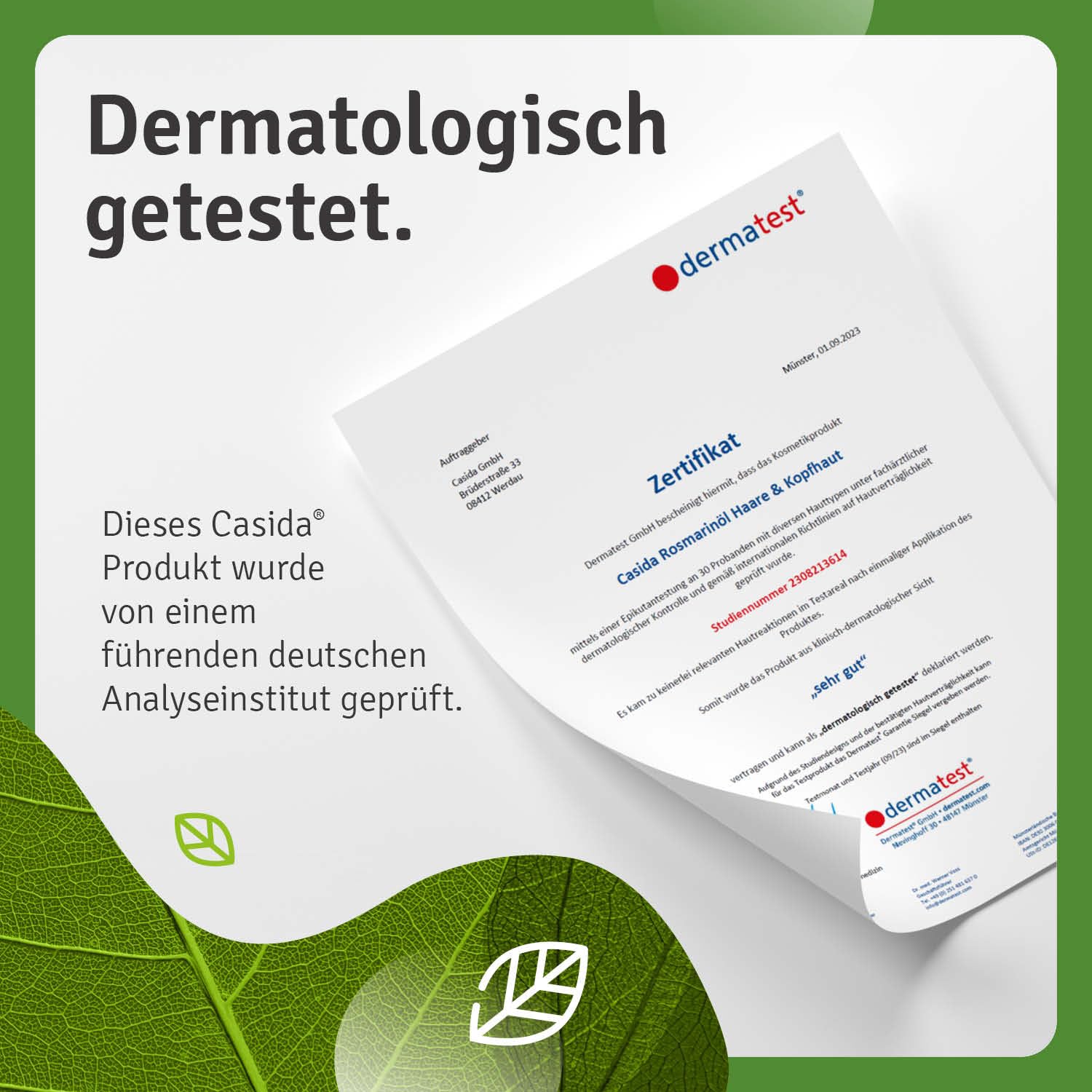 Casida Juego de tratamiento para el cabello de romero, champú de romero, agua de romero y aceite de romero para el cabello, cuidado óptimo con ingredientes naturales para el crecimiento del cabello