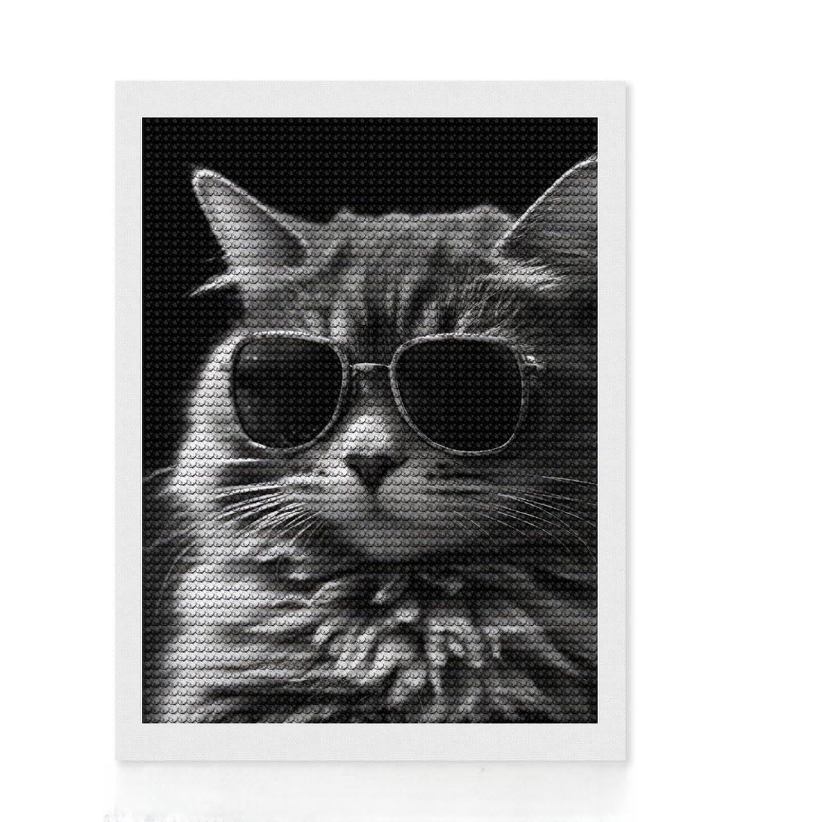 Junmoney Cat Sunglasses Diamond Painting Set 12"x16", Birthday Gift, for Beginners, Full Kit Included, Vintage Style Decor, with Tool Kit