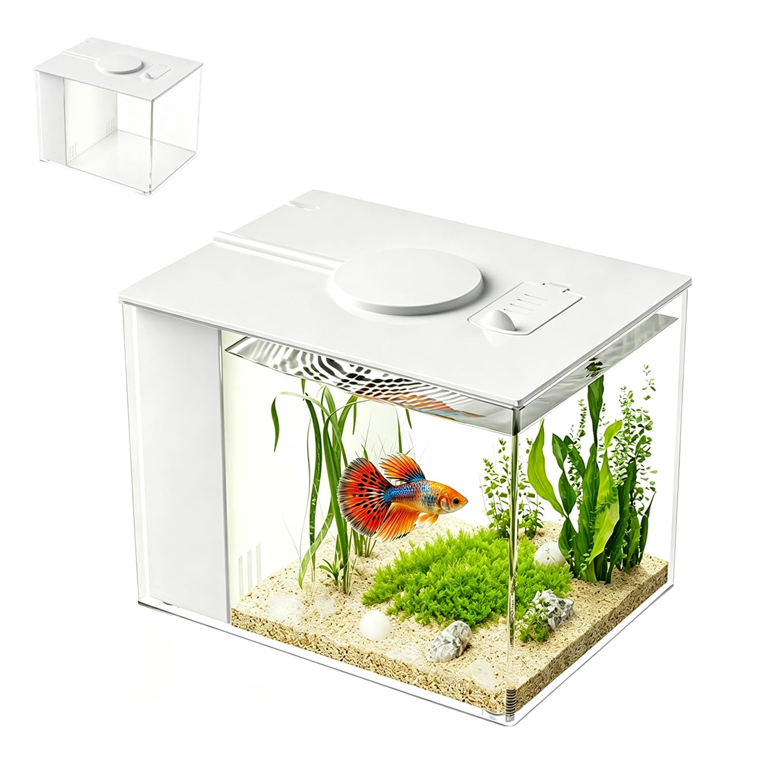 Set completo per acquario da 4,3 l, in acrilico, con pompa filtro, illuminazione a LED, 20 x 15 x 15 cm, fai da te per piccoli pesci da combattimento (bianco)