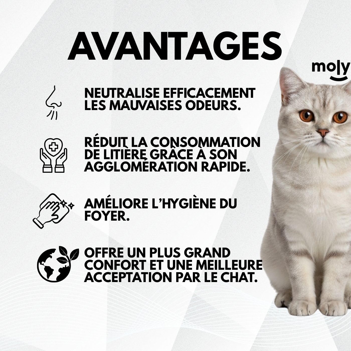 MOLY X6 Litière pour chats bentonite avec charbon actif 16,8 kg 22,2 l | litière agglomérante haute absorption avec arôme de lavande et de talc | Contrôle total des odeurs | Sans poussière | Litière