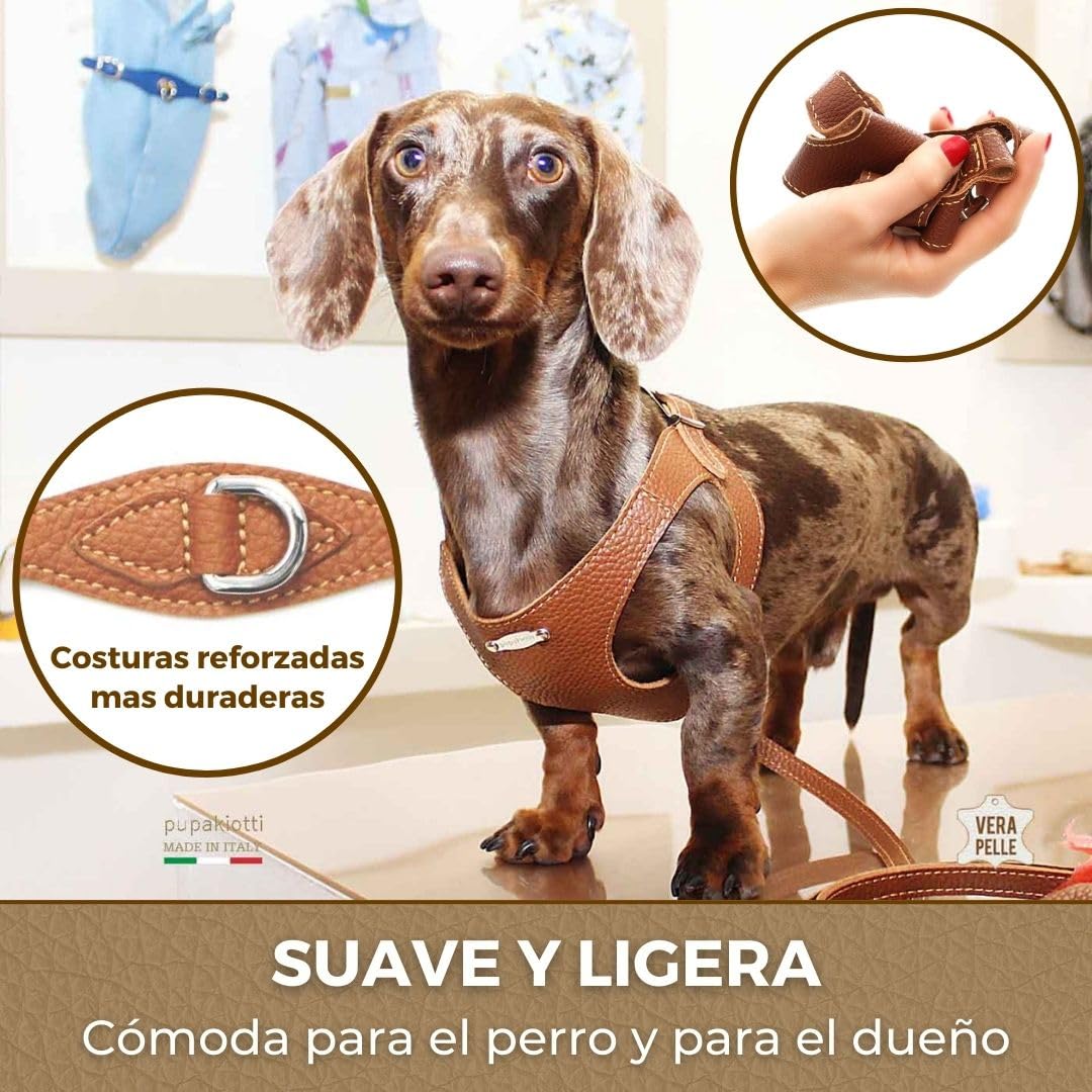 PUPAKIOTTI Arnes Perro de Tamaño Pequeño y Mediano, Arnés de Cuero, Arnes para Perros Ergonómico y Ajustable, Hecho a Mano en Italia (M-L, Cuero)