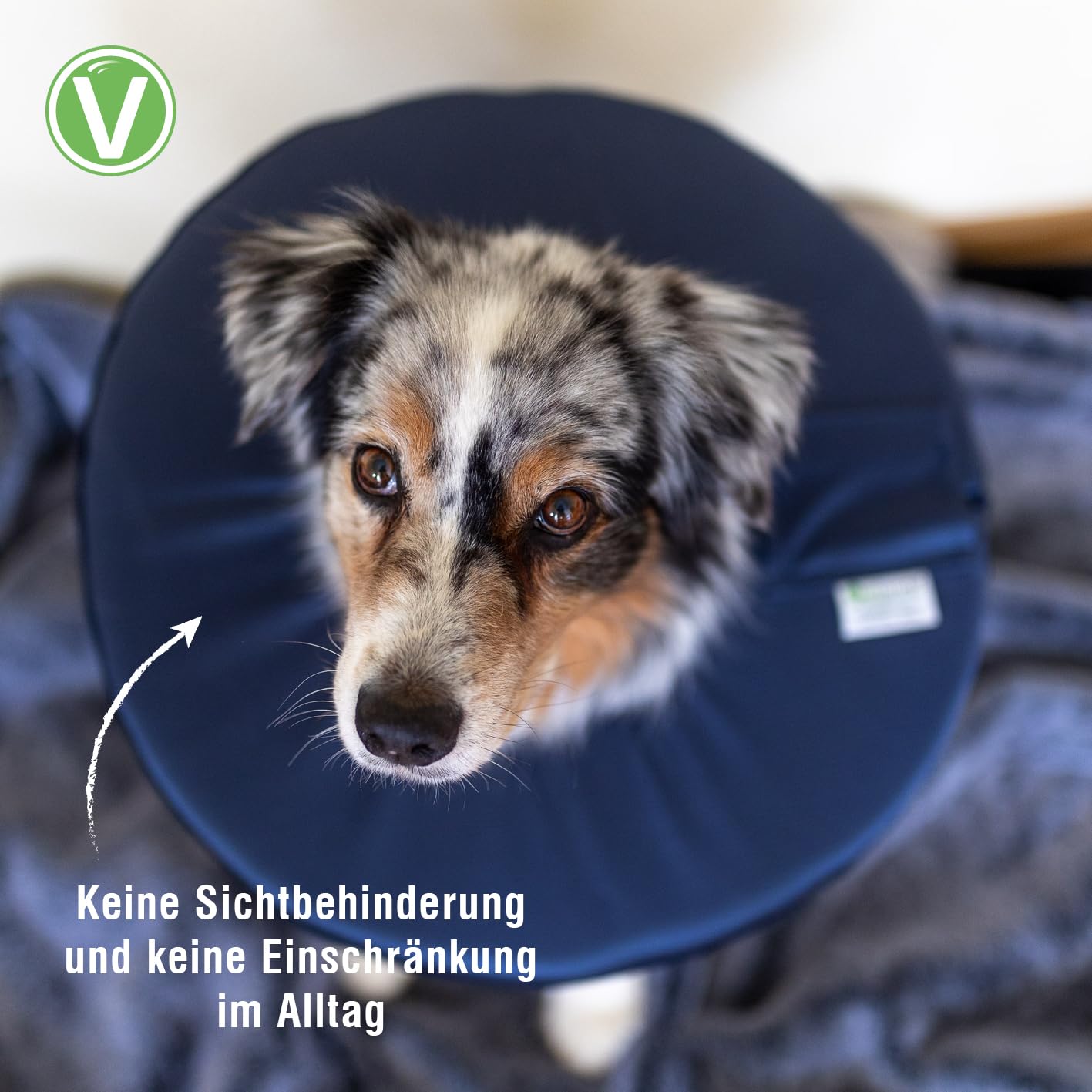 Vetlando Leckschutzkragen – Halskrause für Hunde & Katzen, Bequeme Alternative zu Plastikhalskragen, Keine Sichtbehinderung, wasserabweisend, waschbar – L Umfang 43-48cm Durchmesser 50 cm, blau