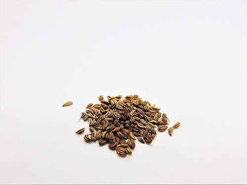 Miniatura 6 de Joyous Jiffy Colección "Herb" #2-(2) macetas redondas de 3 x 3 Jiffy, (2) pellets de turba de tierra (1) 25+ paquete de semillas de cilantro (1) 25+