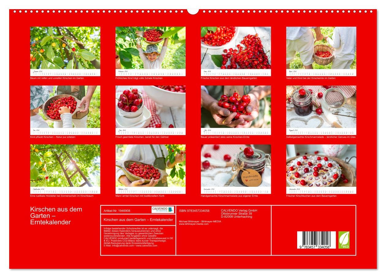 Kirschen aus dem Garten – Erntekalender (hochwertiger Premium Wandkalender 2026 DIN A2 quer), Kunstdruck in Hochglanz: Dieser liebevoll gestaltete ... im Garten lieben. (CALVENDO Natur)