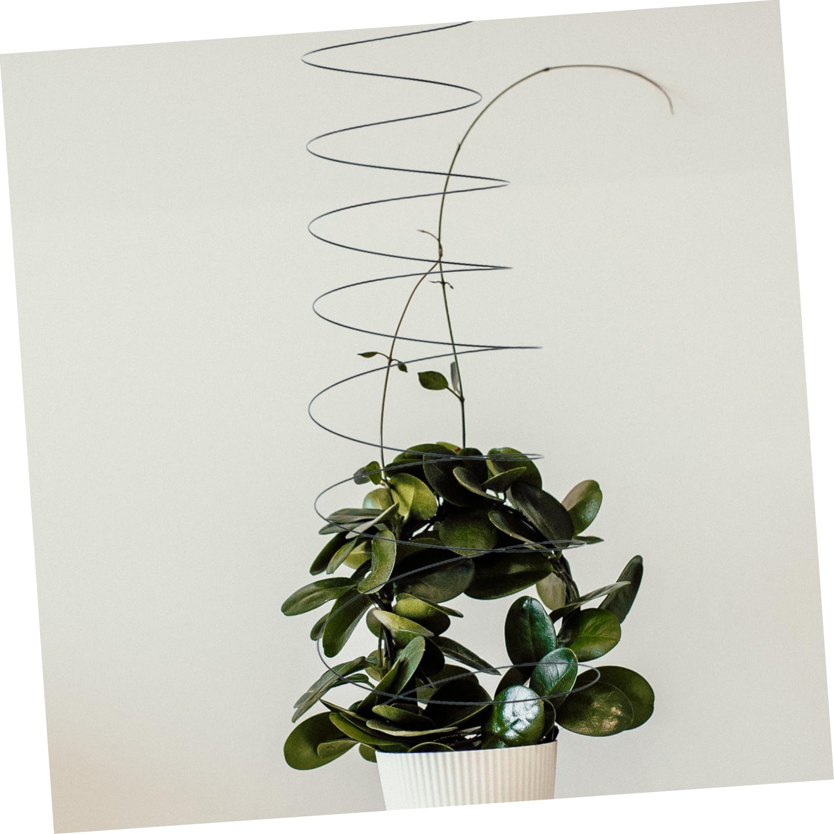 Poteaux de Support Spiralés pour Plantes Grimpantes 2 Pièces