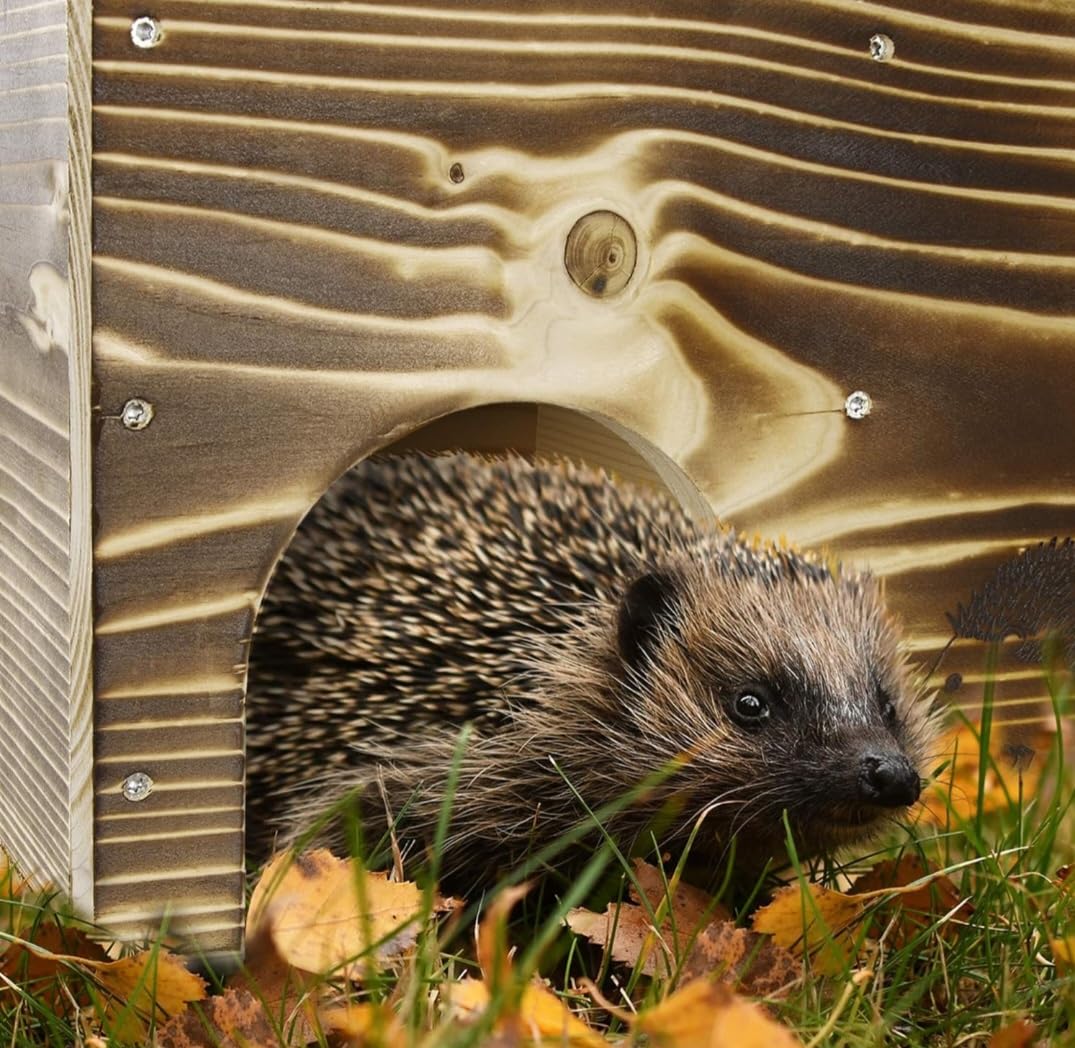 Igelhaus Igelhotel Igelhütte Futterhaus für Igel Igelfutterhaus edel geflammt (IG)
