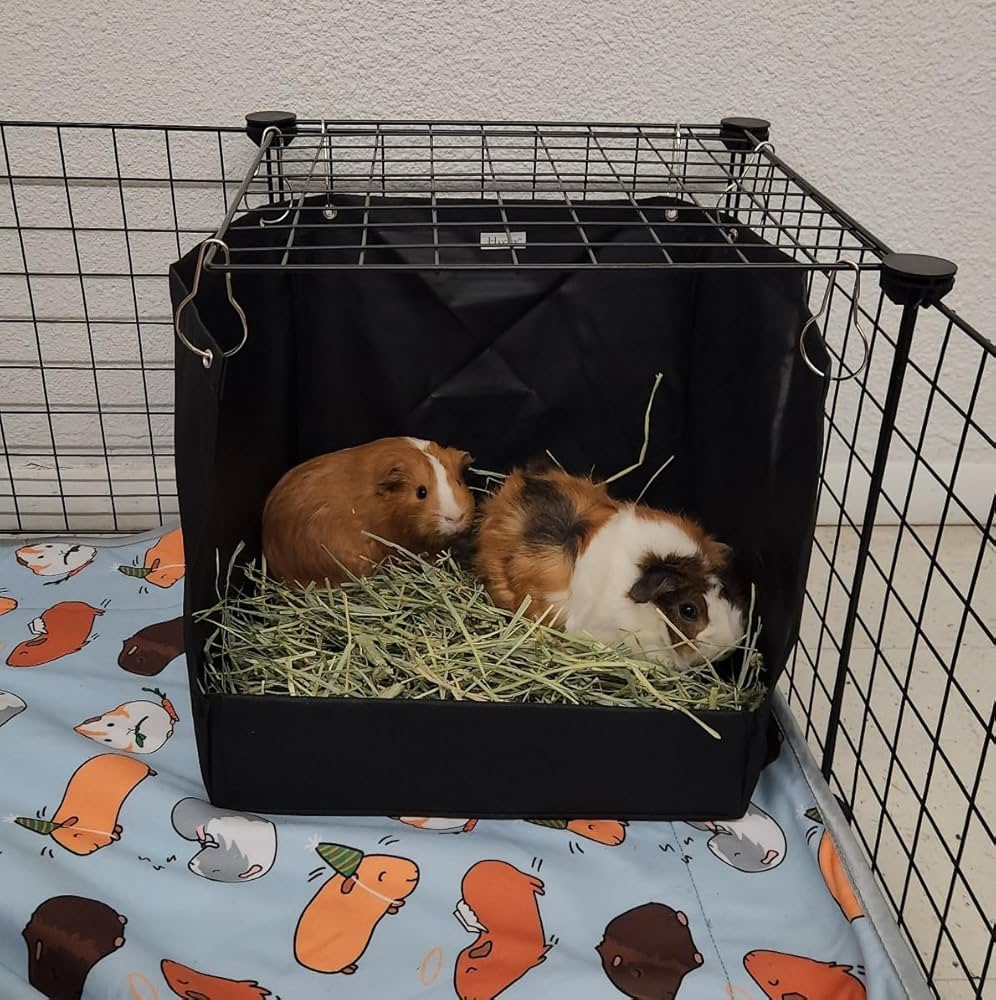 ヘイ HAY BOX BOX Amazon.com : Hayzee Original Guinea Pig Hay Holder Feeder