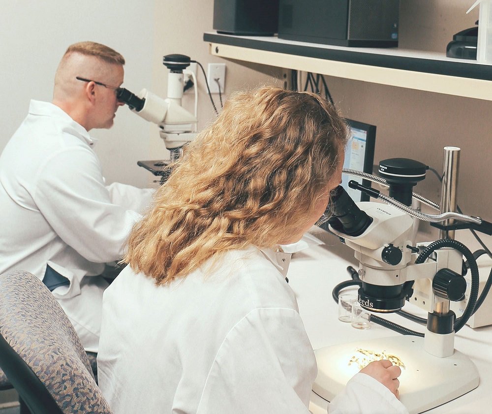 Frontier Organic Chopped Onion, 1 Pound, Dried & Chopped Sweet Organic White Onion, Kosher, Sustainably Grown : Onion Spices And Herbs : Grocery & Gourmet Food