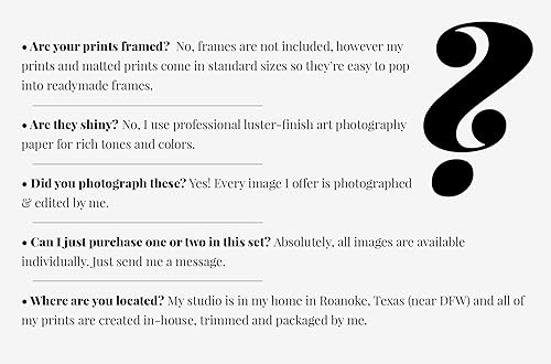 Miniatura 8 de LISA RUSSO FINE ART - Patriotic Rustic Farmhouse Decor - Barns with American Flags - Set of 4 SMALL 5x7 Prints - Not Framed - Americana USA Country