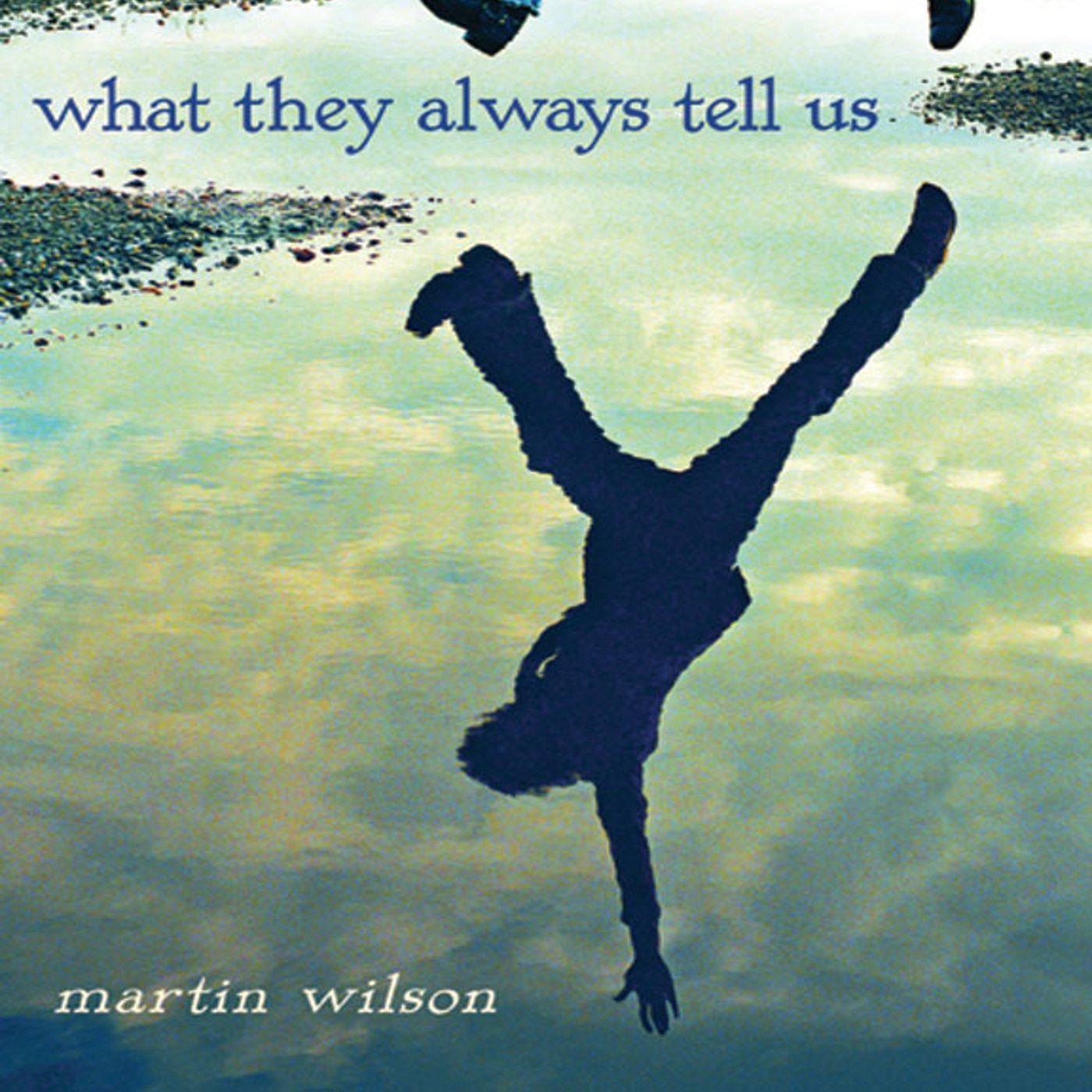 Cover art for What They Always Tell Us