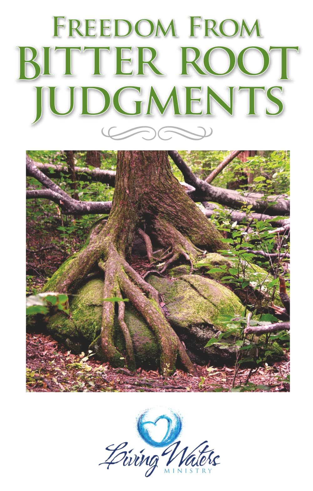 Freedom from Bitter Root Judgements