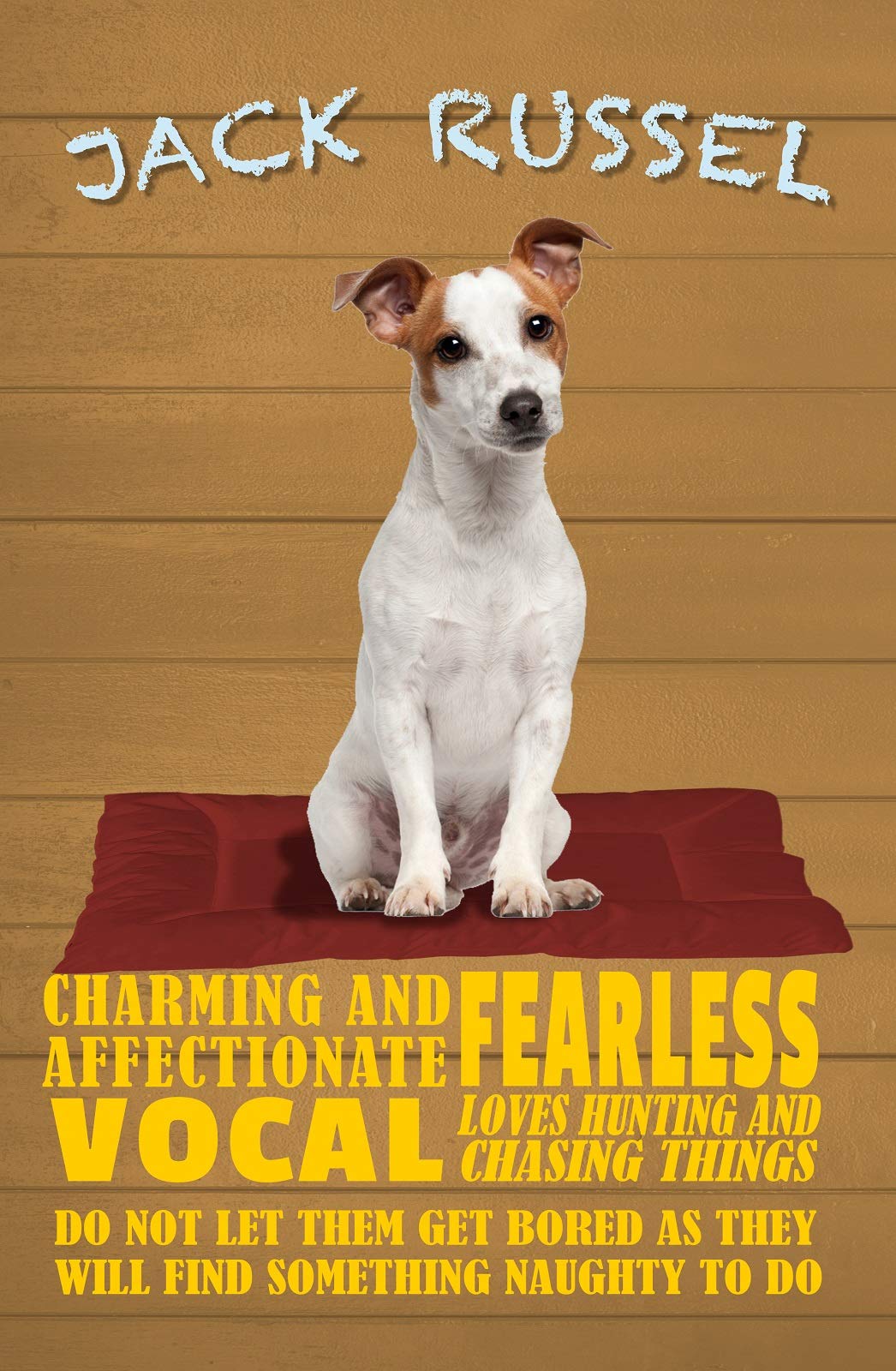 Schatzmix Blechschild 'Dieses Haus Bewacht Jack Russel' – 20x30 Cm, Metall, Perfekt Als Wanddeko