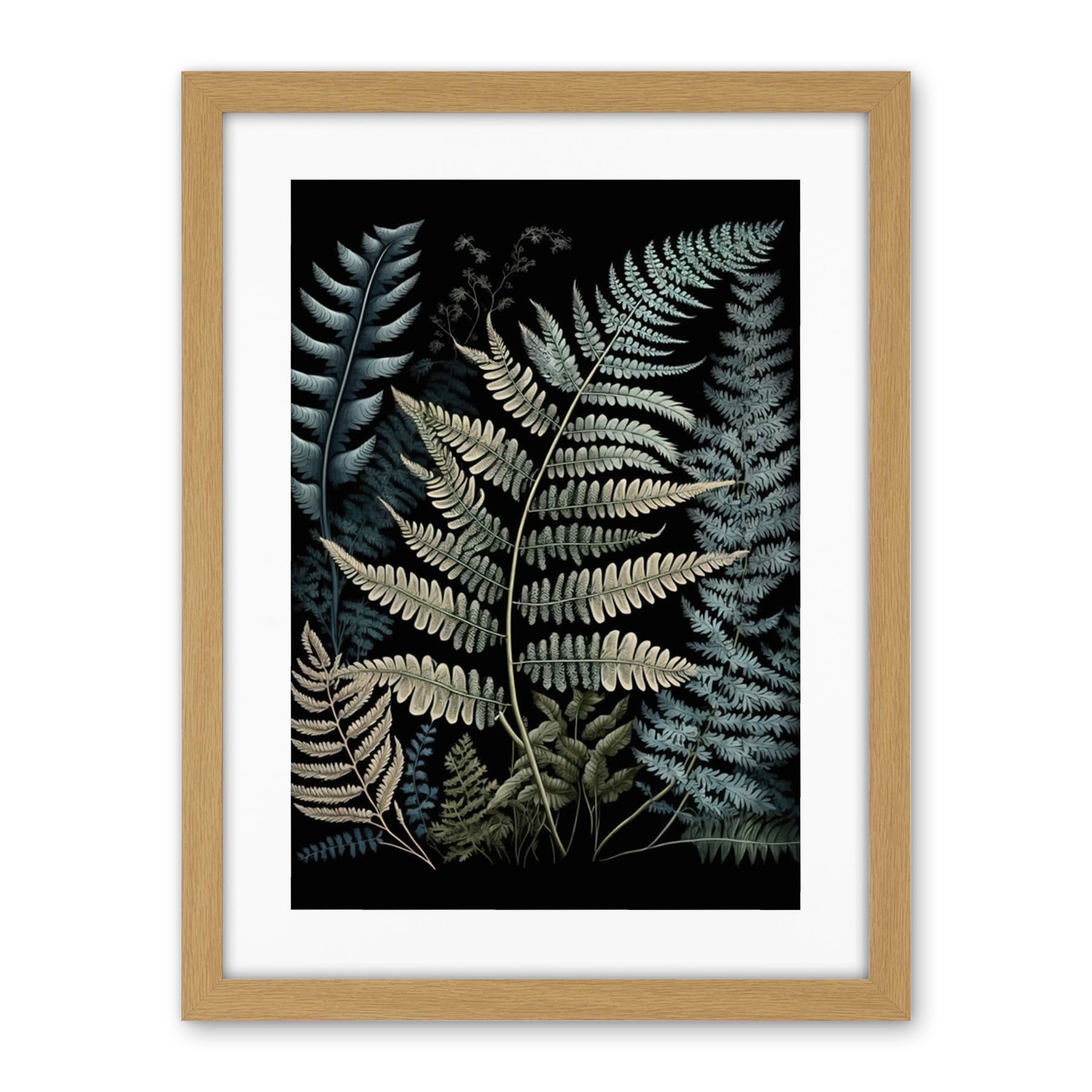 Artery8 Fern Frond Species Detailed Botanical Illustration Artwork Framed Wall Art Print 18X24 Inch