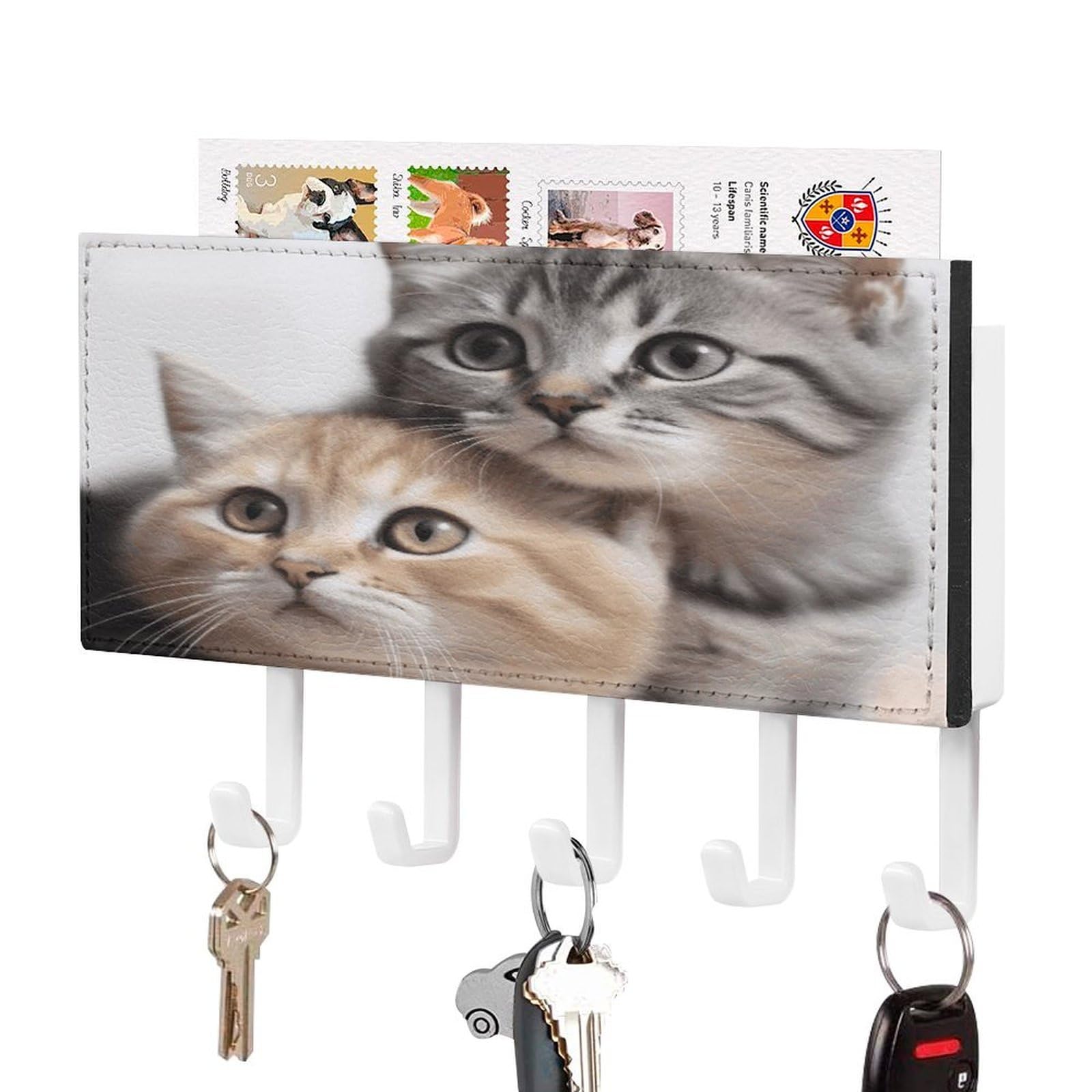FekiLoot Cats Key Holder for Wall Decorative Mail Organizer with 5 Key Hook Self Adhesive Key Rack with Tray Coat Rack Wall Mount Key Hanger Decor for Entryway Door