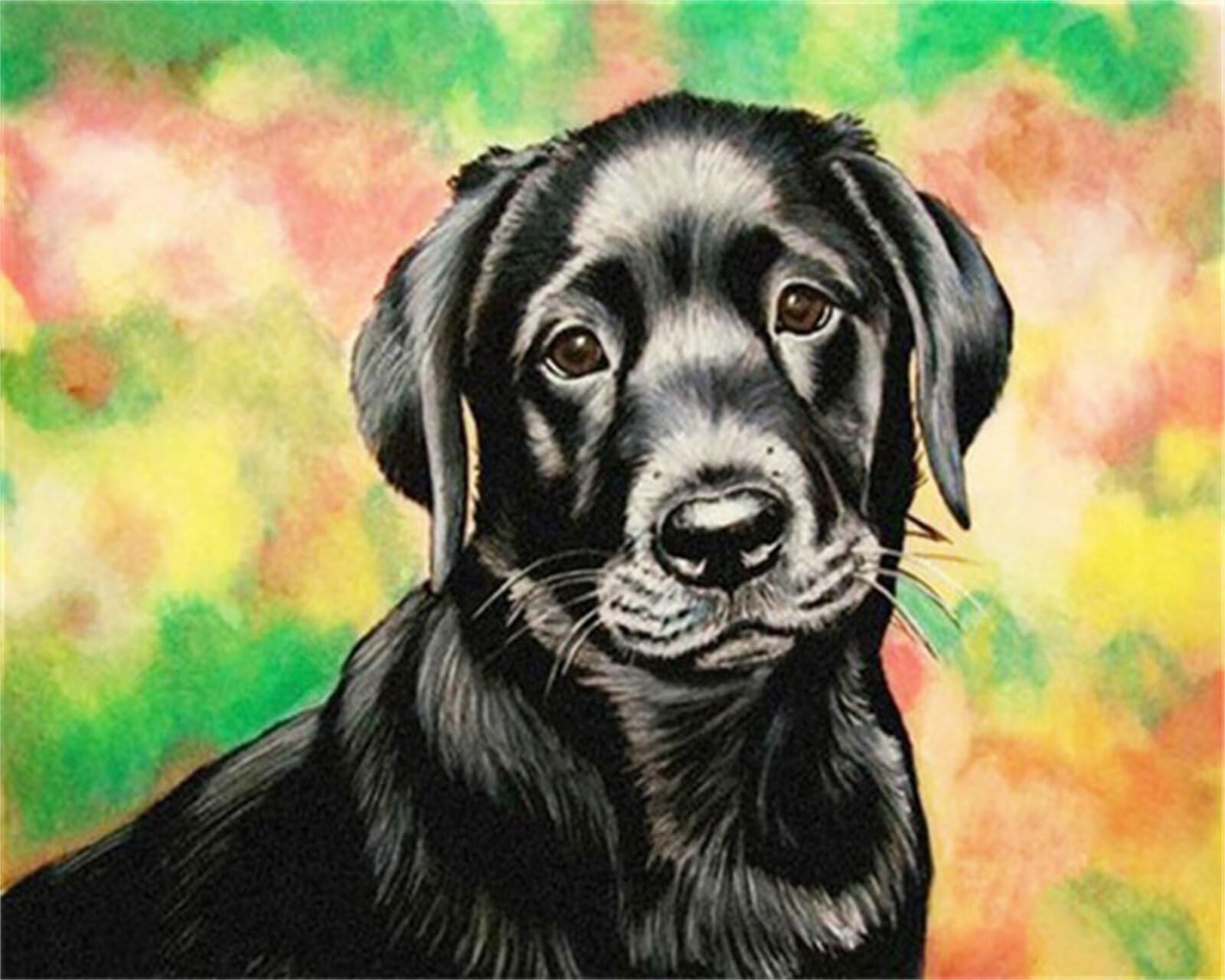 DIY Diamant Painting Broderie Kit Chien Peinture Diamant Enfant et Adulte Loisir Créatif 60x90cm