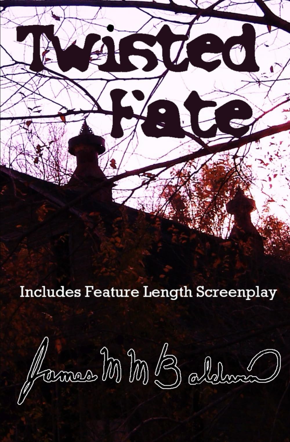 Twisted Fate: Includes Feature Length Screenplay
