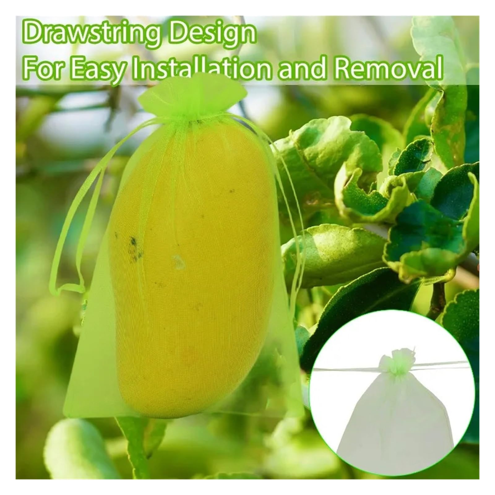 Bolsas de protección frutas con cordón, malla a prueba insectos, cubiertas barrera contra plagas, reutilizables for árboles, plantas, suministros jardín | Green 20x30cm,10PCS