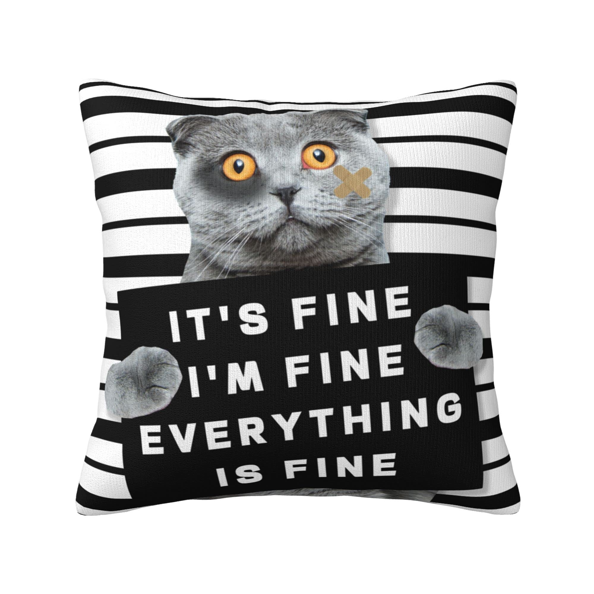 OHORTEB Funny Cat Throw Pillow Case, Its Fine Design Decor Pillow Cover, Bedroom Living Room Cushion Cover for Couch Sofa Bed