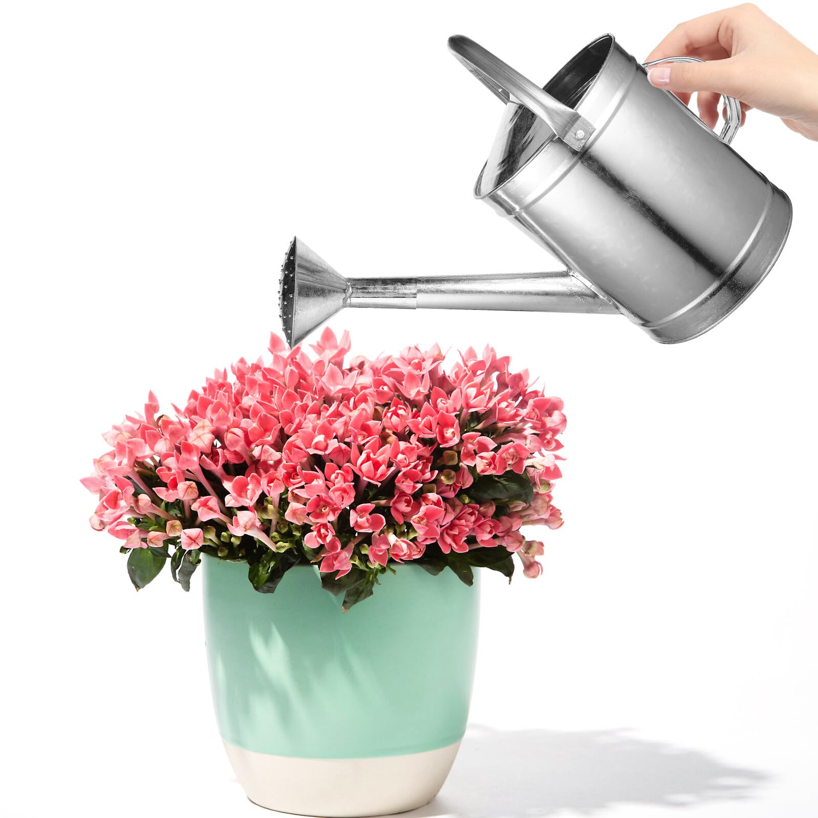 Hohopeti Arrosoir en Fer 5l pour Plantes D’intérieur Et Jardin, Bec Long Confortable, Capacité Fixe, Usage Intérieur Et Extérieur, Arrosoir Manuel Solide en Métal Robuste