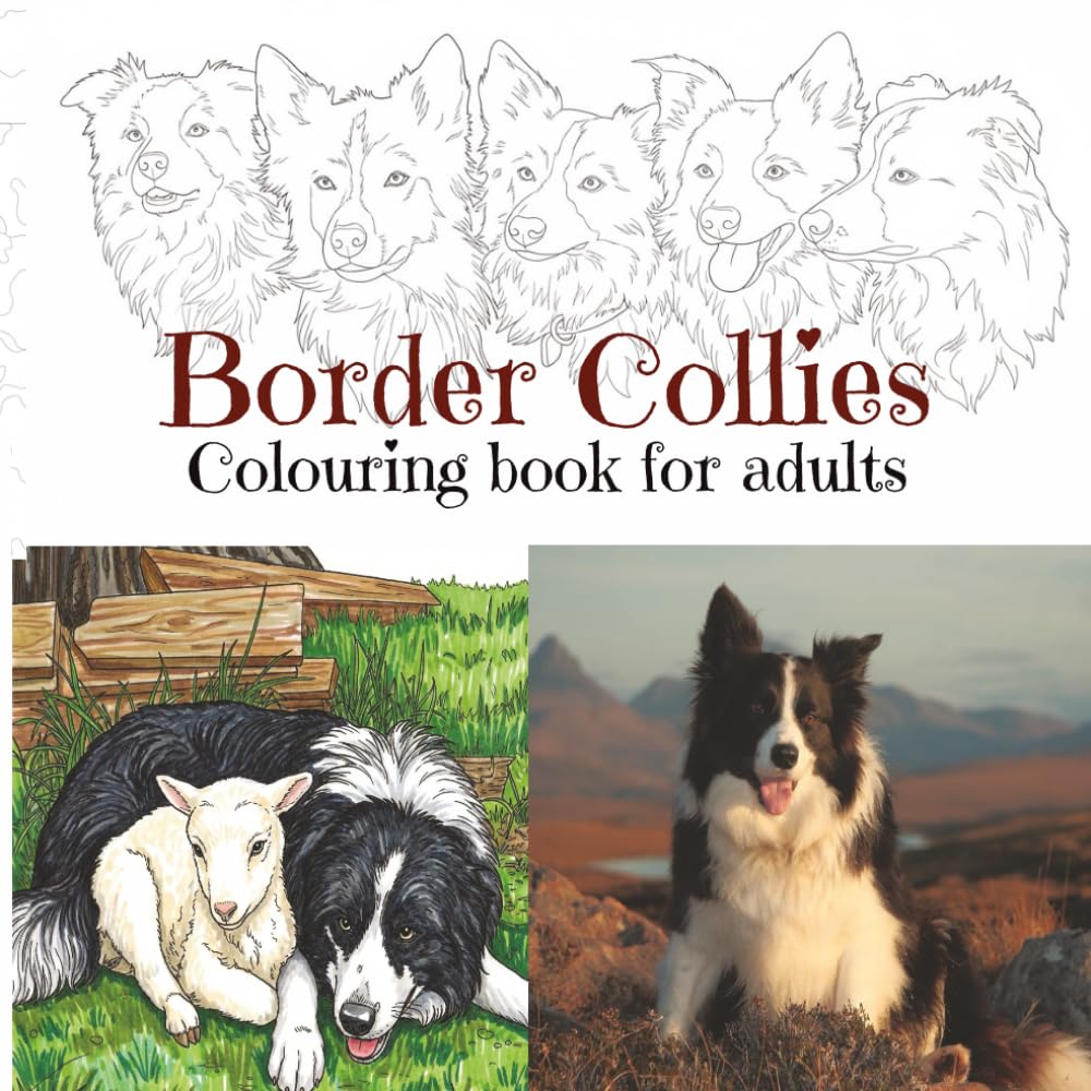 Border Collies Adult Colouring Book: for dog lovers everywhere! (Dog breeds colouring books for adults)