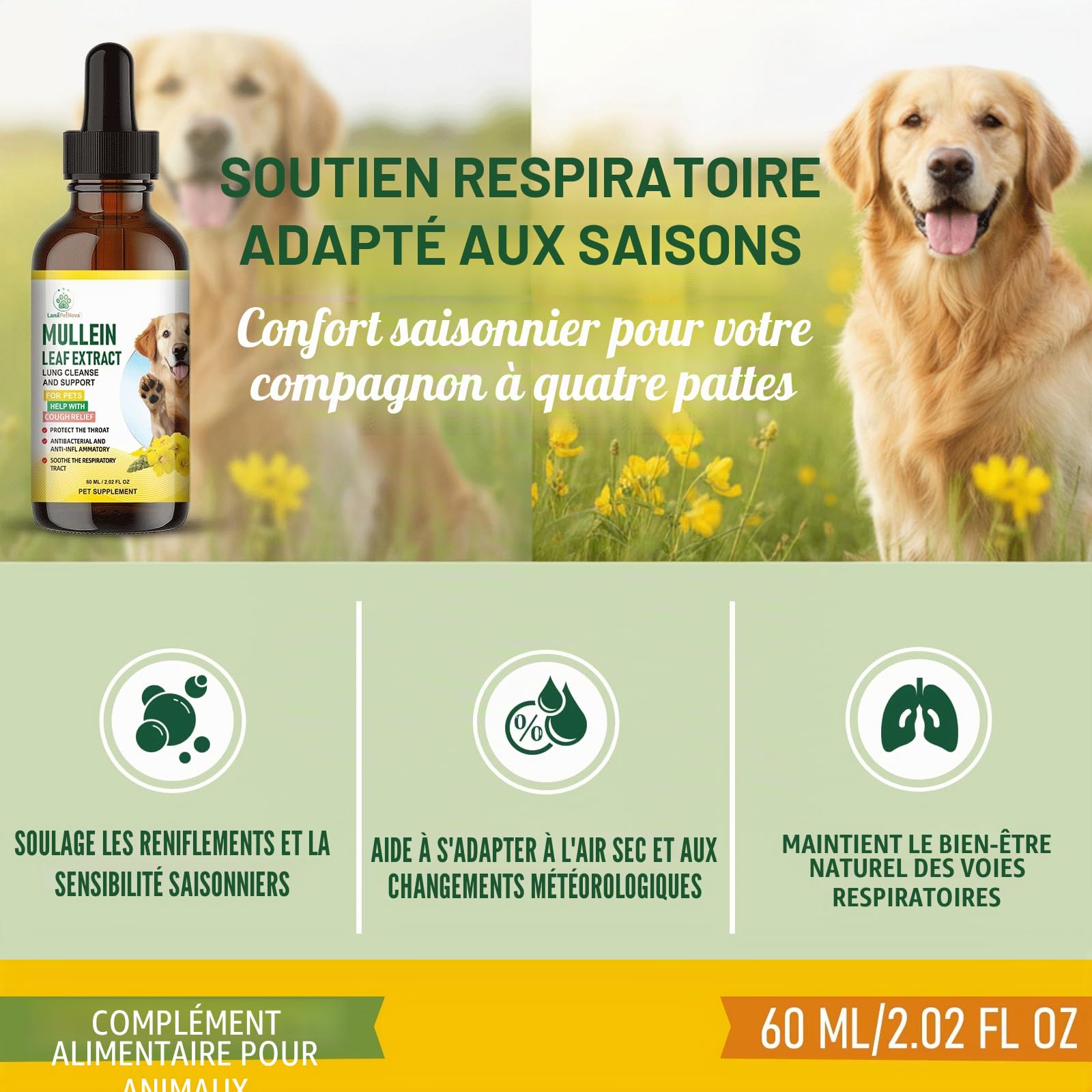 Gouttes de molène, Soutien pulmonaire et antitussif pour Chiens et Chats. Atténue la toux de chenil, la toux sèche et grasse, nettoie Les poumons,apaise la Gorge irritée et facilite la Respiration