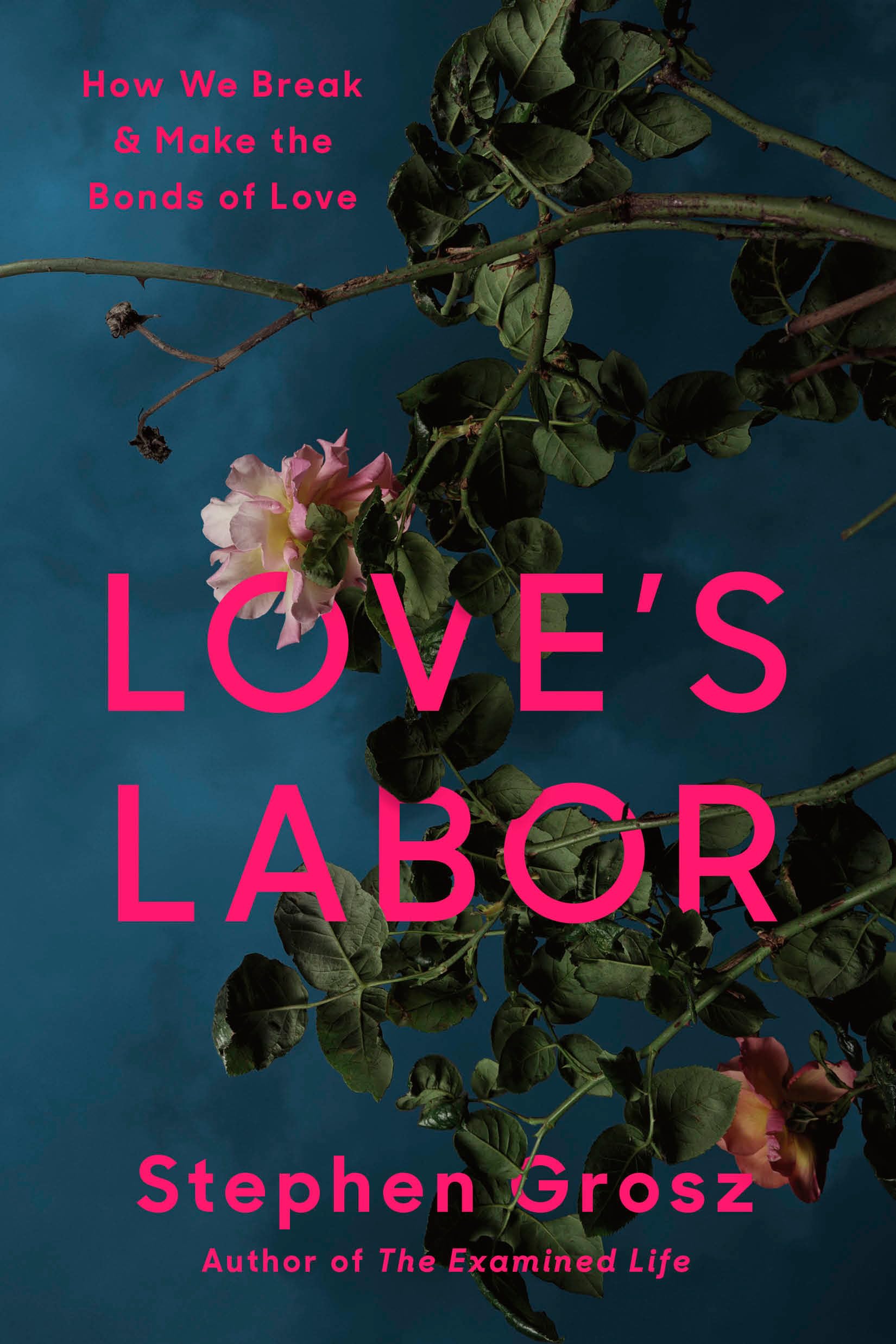 Love's Labor: How We Break and Make the Bonds of Love | Amazon.com.br