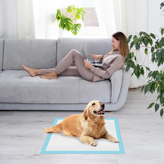 Foto 7 de 7 de Shodiffy Empapadores Perros, 40 Piezas 60x60 cm Almohadillas de Adiestramiento de Perros y Cachorros…