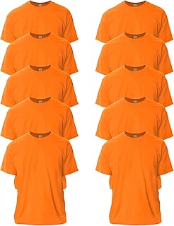 Gildan T Shirt G2000 10 Pack X Large