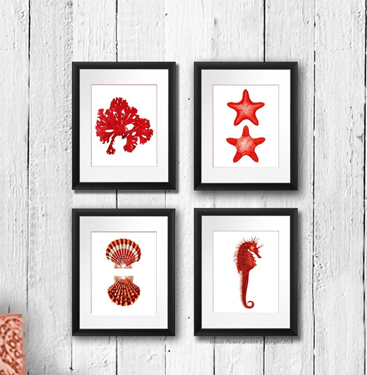 Gnosis Picture Archive Red Wall Decor Beach Themed Set of 4 Unframed Art Prints Seashells Seahorse Seaweed Starfish Prints