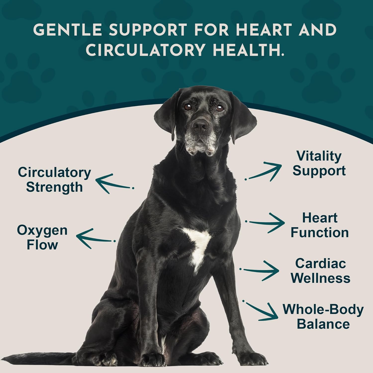 Animal Essentials Heart Health for Dogs & Cats - Cardiovascular Support Supplement, Healthy Heart, Organic Hawthorn Berry, Herbal Tincture - 2 Fl Oz